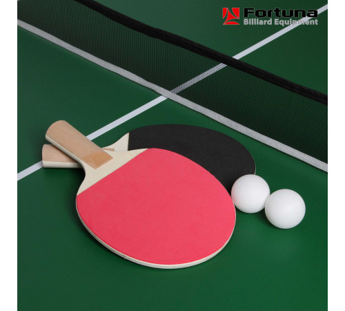 Бильярдный стол Fortuna Пул 5фт 9 в 1 с комплектом аксессуаров