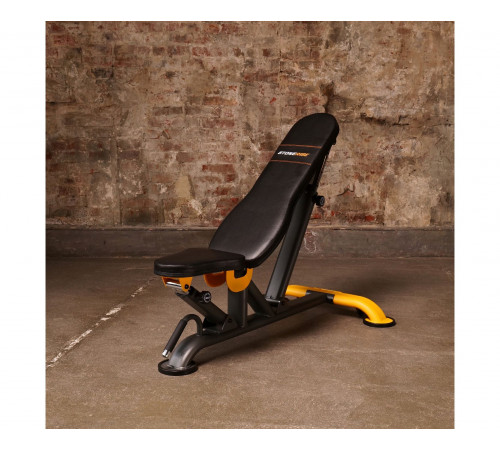 Скамья универсальная STONERISE DS01