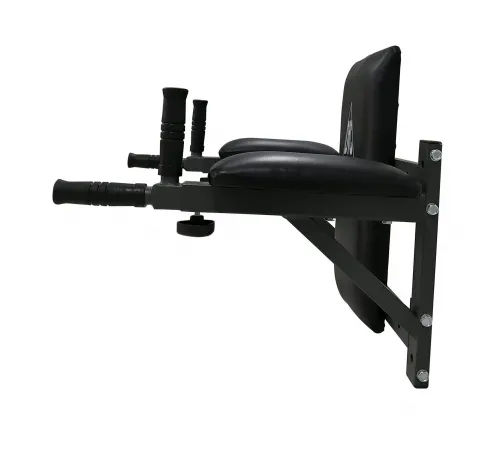 Брусья настенные DFC Homegym G294