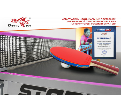 Ракетка для н/т Double Fish (1A+C серия)